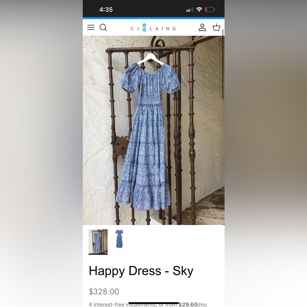 Cj Laing Happy Dress In Sky Blue Smocked Midi Size Xs Like New Condition
